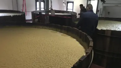 Velké dřevěné kádinky s hmotou z kukuřice během kvašení.