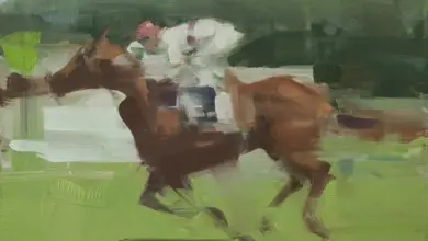 Kůň s jockeyem v běhu na zeleném drahách.