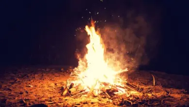 Bonfire at night