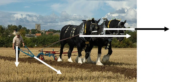 Horses pulling plow
