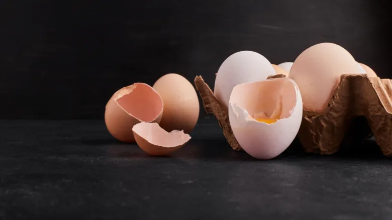Eggs in carton and broken shells