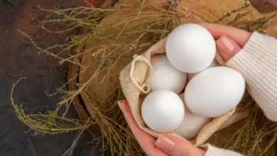 Ruční držení bílých vajec v sáčku na dřevěném podkladu.