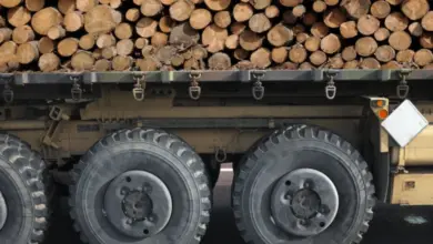 Nákladní automobil s dřevem ukazuje radiální strukturu kmenů.