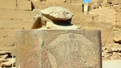 Kámenový sochařský skarabeus na podstavci před staroegyptskými ruinami.