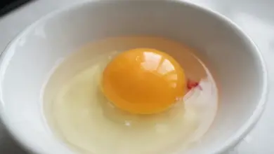 Surové vejce s krvavou skvrnou na žloutku v bílé misce.