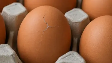 Prasklé hnědé vejce v kartonové krabici bez plesně.