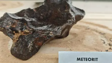 Meteorit z Arizony na pískovém podkladu s popisek.