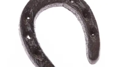 Tmavá kovová podkova na bílém pozadí pro článek o zavěšení nad dveře.