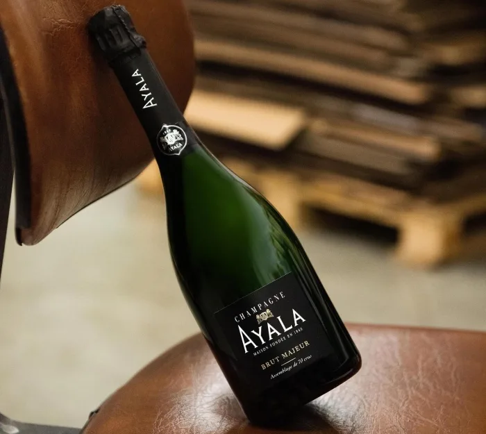 Champagne bottle on leather chair