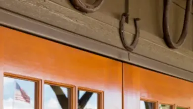 Rusty podkovy visí nad dřevěnými dveřmi s odrazem vlajky.