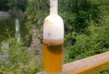 Sklenice kombuchy s usazeninou na dně venku u vody.