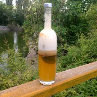 Sklenice kombuchy s usazeninou na dně venku u vody.