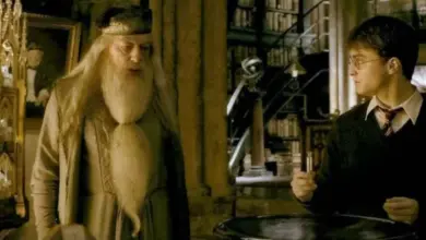 Harry Potter s Dumbledorem v knihovně na pozadí.
