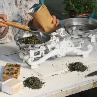 Člověk nalévá zelený čaj do váhy na přípravy.
