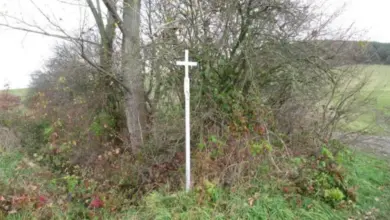 Bílý dřevěný kříž stojí mezi keři na okraji pole.