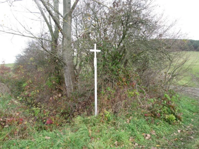 Bílý dřevěný kříž stojí mezi keři na okraji pole.