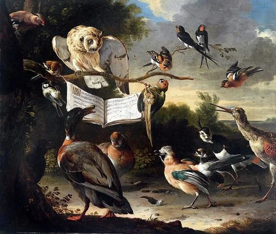 Birds in a tree with music sheet