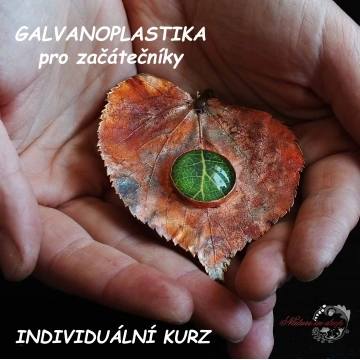 Ruce drží list v srdcovém tvaru s galvanizovanou zelenou vrstvou.