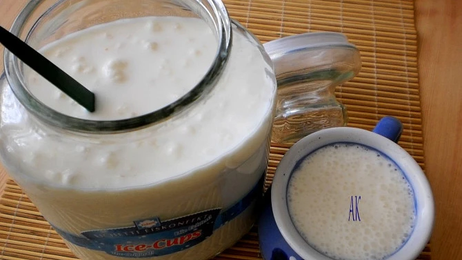 Sklenice s tibetskými mléčnými kefírovými houbami v tekutém médiu vedle šálku.