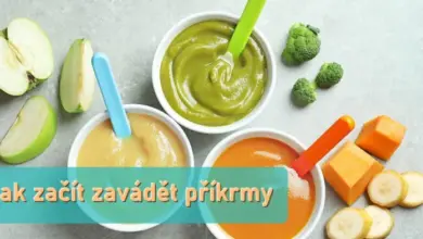 Tři misky s příkrmy pro děti obklopené čerstvými ovocem a zeleninou.