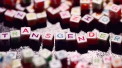 Kostky s písmeny tvořící slovo transgender na povrchu.