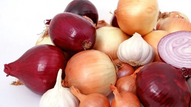 Červené žluté cibule s česnekem na bílém pozadí