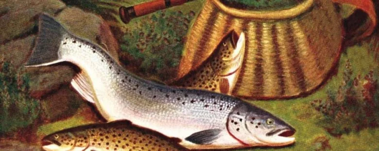Ilustrace dvou lososů s tečkami u košíku v přírodě.