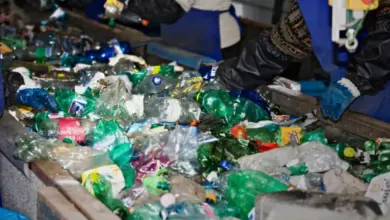 Pracovníci třídí plastové lahve s viditelnými značkami.