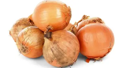 Surová žlutá cibule v hromadě na bílém pozadí.