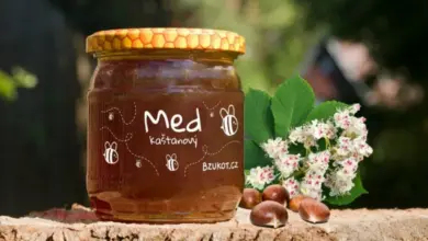 Sklenice medu z vlašského ořechu s květy a oříšky na kmeni stromu.