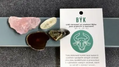 Různé kameny vedle karty s nápisem Býk v češtině.