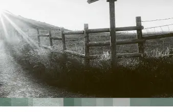 Cesta vedoucí k hrobu s dřevěným sloupkem směrů.
