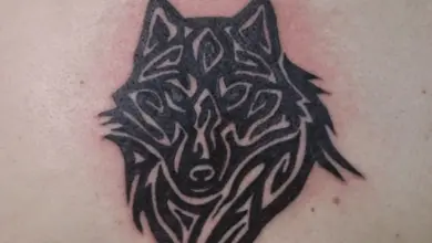 Tetování vlka v tribálním stylu na lidské kůži.