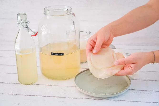 Ruce drží SCOBY nad talířem vedle sklenic kombuchy na bílém dřevě.