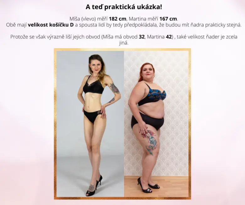 Dvě ženy v podprsencech s odlišnými velikostmi a obvody.