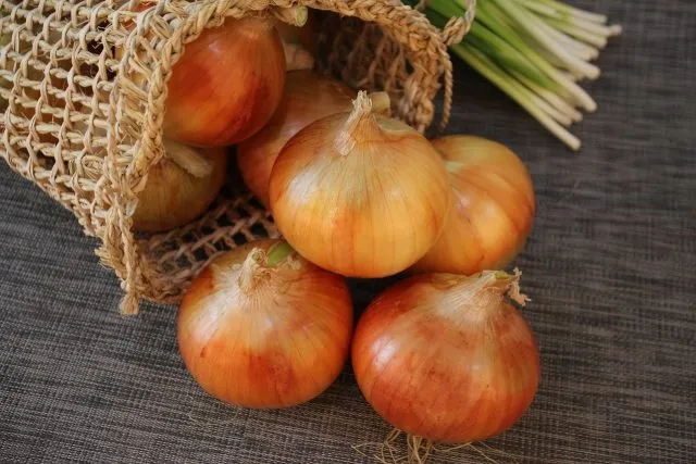 Čerstvé červené cibule v síťovém sáčku na tmavém povrchu.