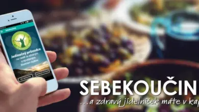 Ruka drží telefon s aplikací pro sledování stravy.