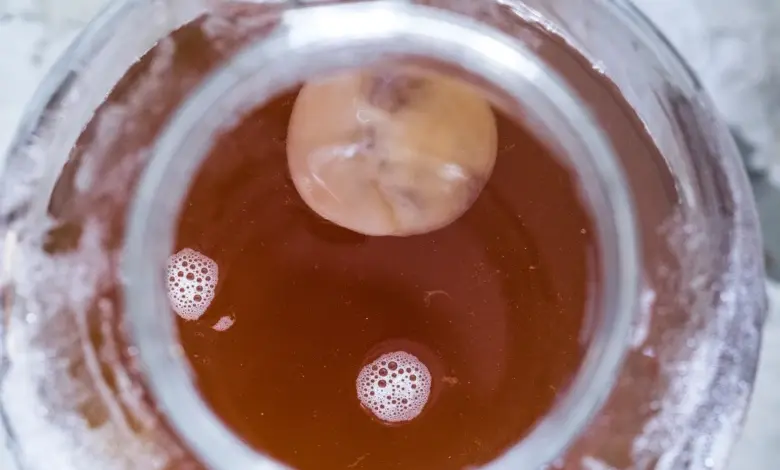 Fermentující čajová kultura v nádobě s tekutinou.
