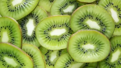 Svěží plátky kiwi s zelenou dužinou a černými semínky.