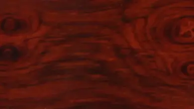 Detail dřevěného zrna s uzly vhodné pro hudební nástroje.